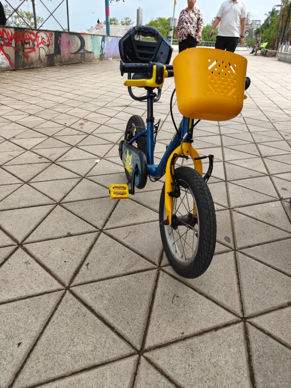 Perfect Size Cycle for 5-7 Years